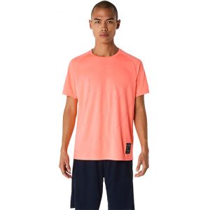 2031E996-700 1 2031E996-700 1