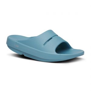 M1100-OCBL 1 M1100-OCBL 1